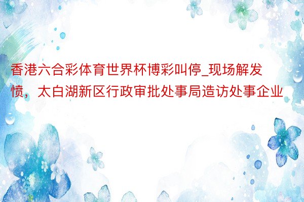 香港六合彩体育世界杯博彩叫停_现场解发愤，太白湖新区行政审批处事局造访处事企业