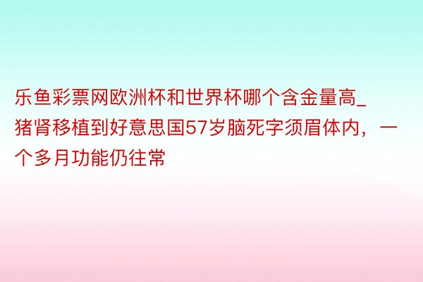 乐鱼彩票网欧洲杯和世界杯哪个含金量高_猪肾移植到好意思国57岁脑死字须眉体内，一个多月功能仍往常