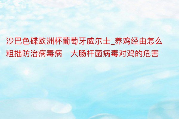 沙巴色碟欧洲杯葡萄牙威尔士_养鸡经由怎么粗拙防治病毒病   大肠杆菌病毒对鸡的危害